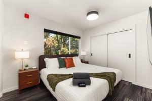 DT 2br 2bath Apartment