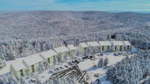 Leatherbark 203B 2BR 2BA Renovated Spacious Fireplace Close to Village