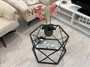 Appartement lumineux centre