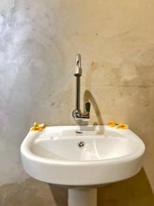 Ijen Backpacker atas Angin