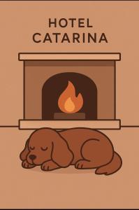 Hotel Catarina
