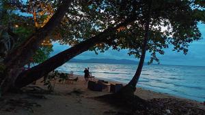 Caribbean Blue Morpho Casitas