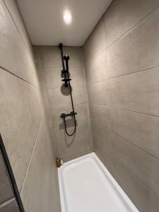 Otter Hollow - a spacious central apartment