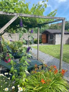 Wellness huis voor 6 personen aan het strand Zeeuwse Rust