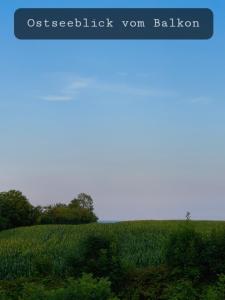 Meereszauber - Wo Urlaub Wellen schlägt & Herzen leuchten - Dein sonniger & ruhiger Ankerplatz, an dem sich Steilküste, Strand & Ostseeblick vereinen