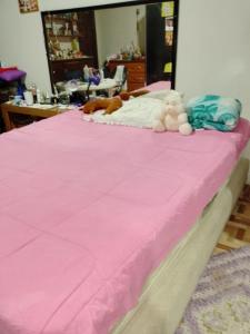 Aluguel 250,00 a diária