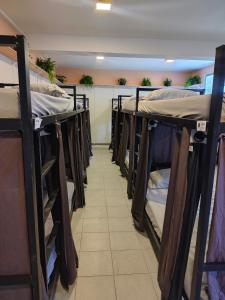 JUNGLE STATION - Hostel