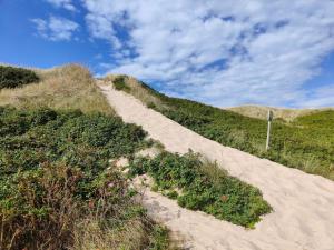 6 person holiday home in Ringkøbing-By Traum