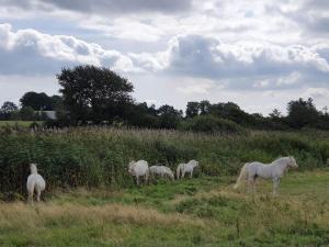 10 person holiday home in Nordborg-By Traum