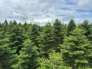 4 person holiday home in Hovborg-By Traum