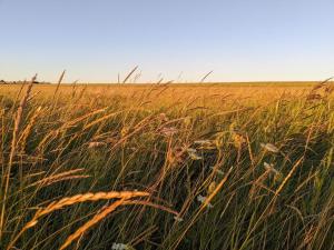 Modern Seaside Retreat - By Traum Ferienwohnungen