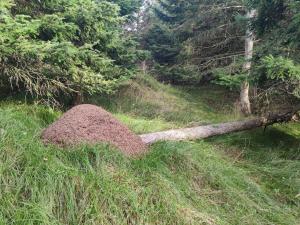 6 person holiday home in Hjørring-By Traum