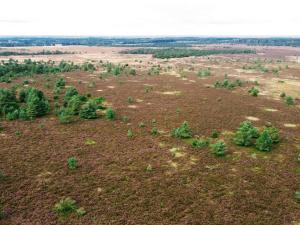 5 person holiday home in Hovborg-By Traum