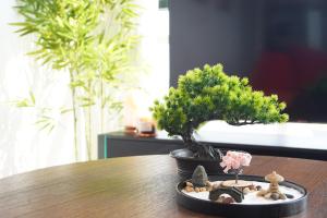 Zetland Zen Japanese Haven by Dining Transport