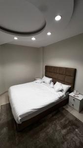 Apartment, room, elegant and comfortable hall, and smart entrance