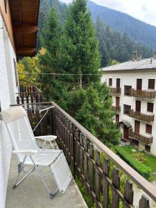 Appartamento Stella Alpina