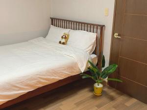 삼 스테이 동성로