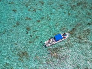 Sky Blue Reef Tours