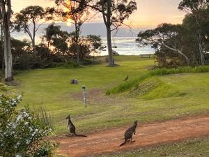 Denmark Waterfront Lodge - Ubytování bez kategorie ve městě Denmark
