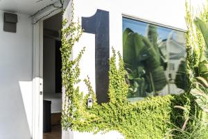 Simple La Jolla Epic bungalow #1