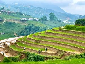 ZOZO Sapa Homestay & Trekking