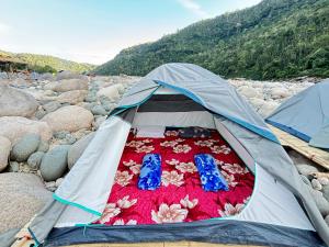 Joel Adventure & camp