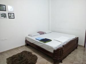 The Moonlight Meadows