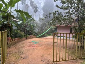 River stream Nest homestay