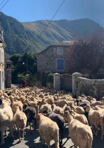 La Suite Unique - Le jardin sur les Pyrénées- vue panoramique montagne -jardin clôturé privé de 100m2-Parking-Linge de lit et serviettes compris-