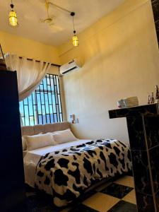 MALAIKA HOUSE Apartments