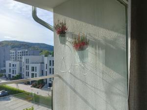 Apartamenty pod Dębowcem Apartament 44 Rowerek