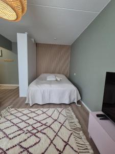 Cozy studio in Espoo & free e-parking