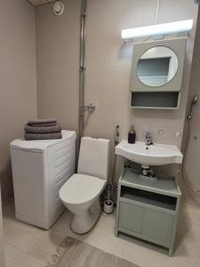 Cozy studio in Espoo & free e-parking