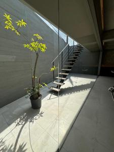 那覇空港から車で約15分 Baru Tree 門クニンドー