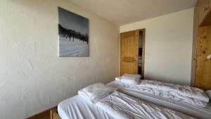 Plein Ciel VA 031 - MOUNTAIN apartment 8 pers