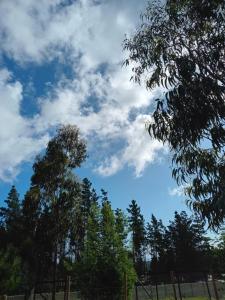 Cabañas Oasis Laguna Verde