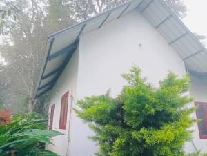 Munnar Hills And Mist Views