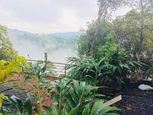 Munnar Hills And Mist Views