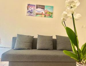 " Mas St Simon " Entrée autonome - 4 pers - Wifi