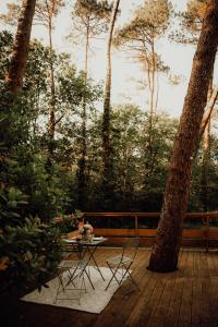 Tente Indiana Pins - La Téouleyre