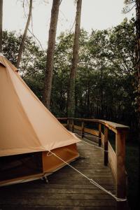 Tente Indiana Pins - La Téouleyre