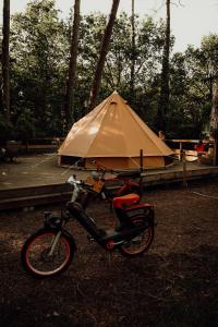 Tente Indiana Pins - La Téouleyre