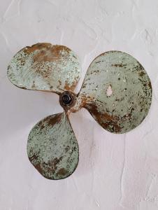 Villa Anna 300 m dal mare img33