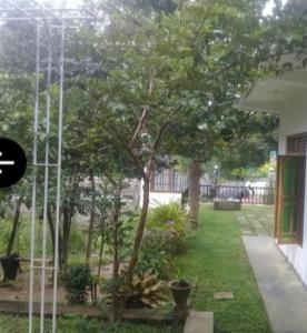 Elephant View Hotel