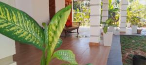 Serene Villa