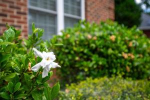 Private Pool WaterEdge Lake House