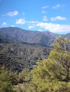 Anastasi Tiny Homes- Mountain Views, Garden & Terrace, Pet Friendly