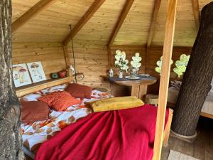 Treehouses Karlov pod Pradědem