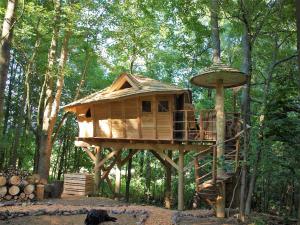 Treehouses Karlov pod Pradědem