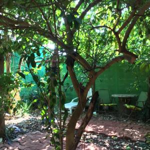 mar y luna apartment